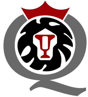 Qing Cables Ltd Logo